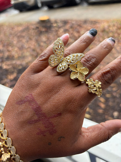 Girl It’s the Rings for Me